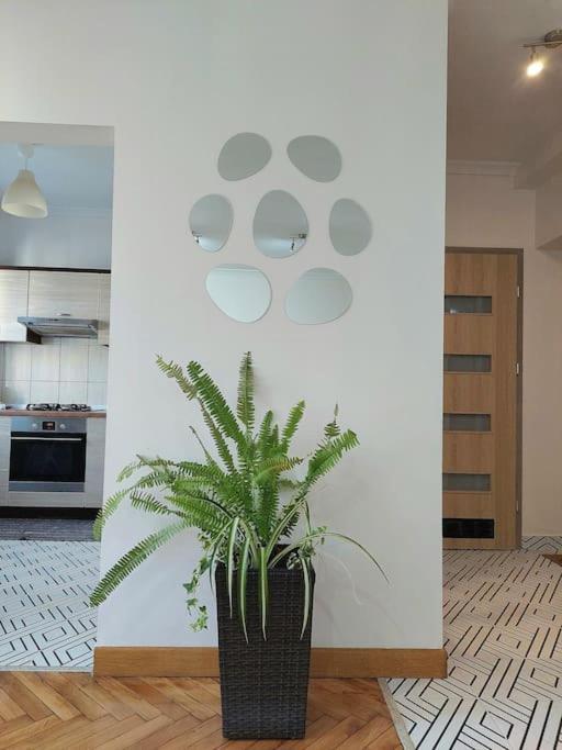 Apartamento Domin Domin Częstochowa Exterior foto
