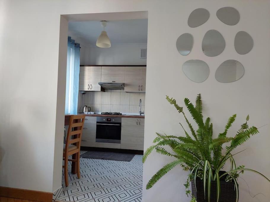 Apartamento Domin Domin Częstochowa Exterior foto